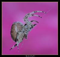 Hebergement gratuit d image et photo