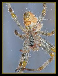 Hebergement gratuit d image et photo
