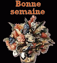 bonne-semaine-mlr44