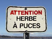 Image hébergée par Casimages.com : votre hébergeur d images simple et gratuit