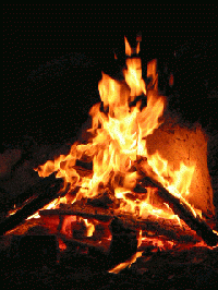 slide0002_image007