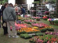 March� aux fleurs