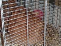 Vous �tes sur le Site de Claville-27-Eure
