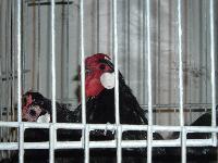 Vous �tes sur le Site de Claville-27-Eure