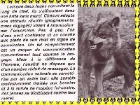 LOUP 005