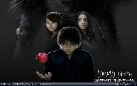 mini_061219101740254111.jpg