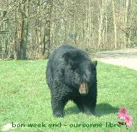 Hebergement gratuit d image et photo