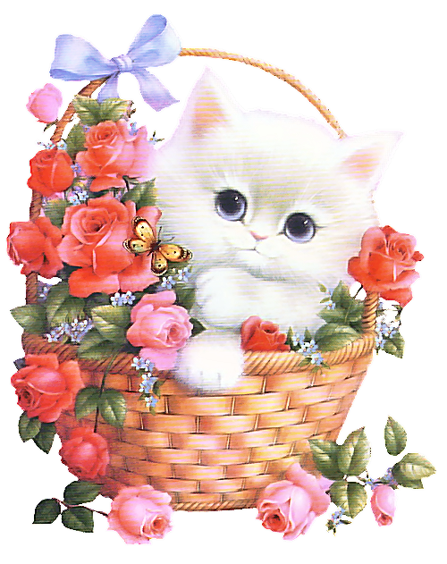 http://www.casimages.com/img/png/070411103947467812.png