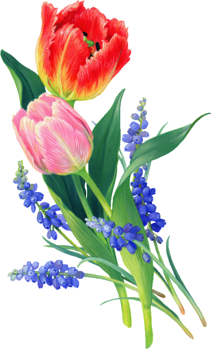 Image hébergée par Casimages.com : votre hébergeur d images simple et gratuit