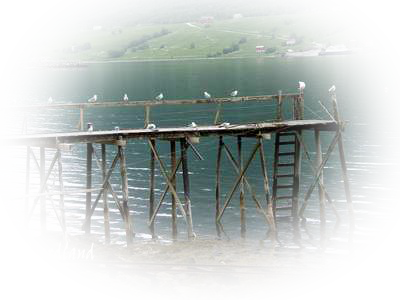 Cliquez ici pour voir les photos du Nordland