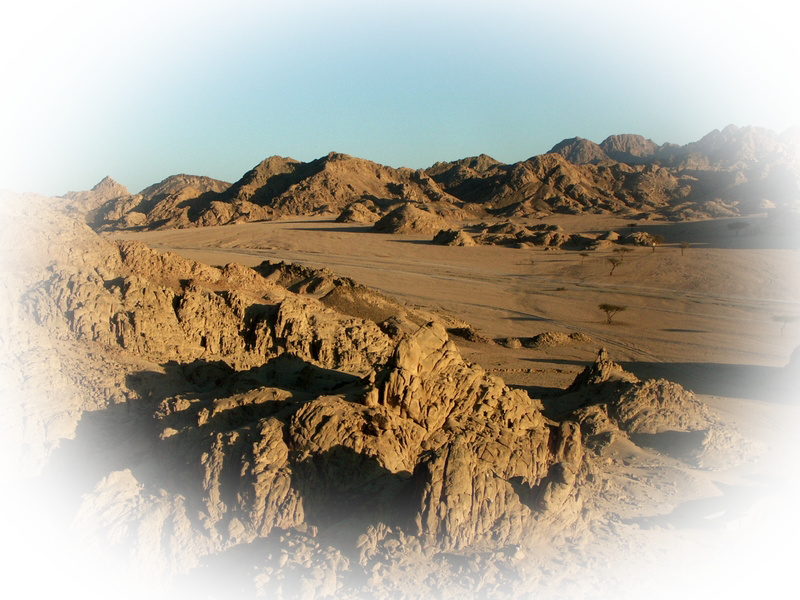 Cliquez ici pour voir les photos de Sharm El Sheik