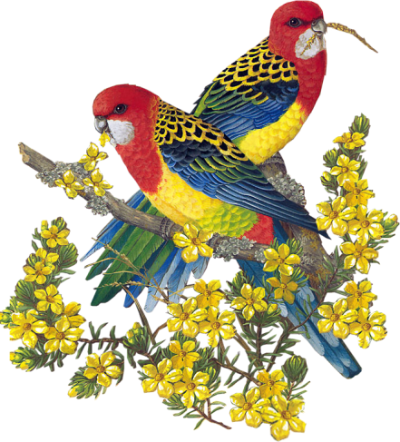 Image h&eacute;berg&eacute;e par Casimages.com : votre h&eacute;bergeur d images simple et gratuit