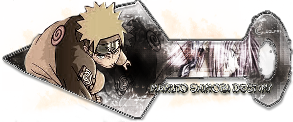 Naruto Shinobi Destiny
