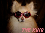 http://www.casimages.com/img/png/0710130327218031319179.png