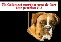 Hebergement gratuit d image et photo