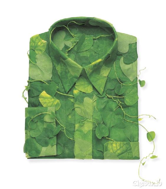chemise a fleurs