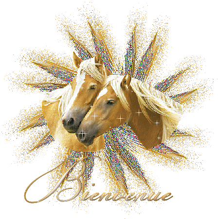 Image hébergée par Casimages.com : votre hébergeur d images simple et gratuit
