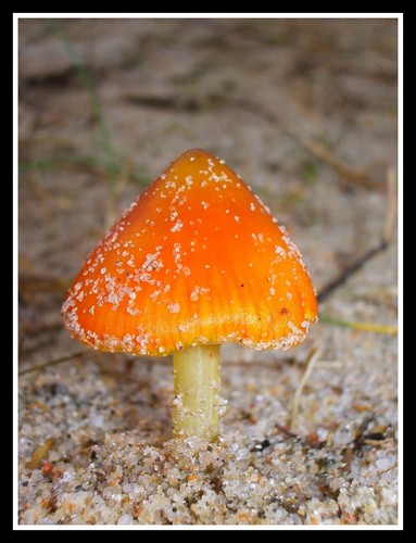 Image hébergée par Casimages.com : votre hébergeur d images simple et gratuit