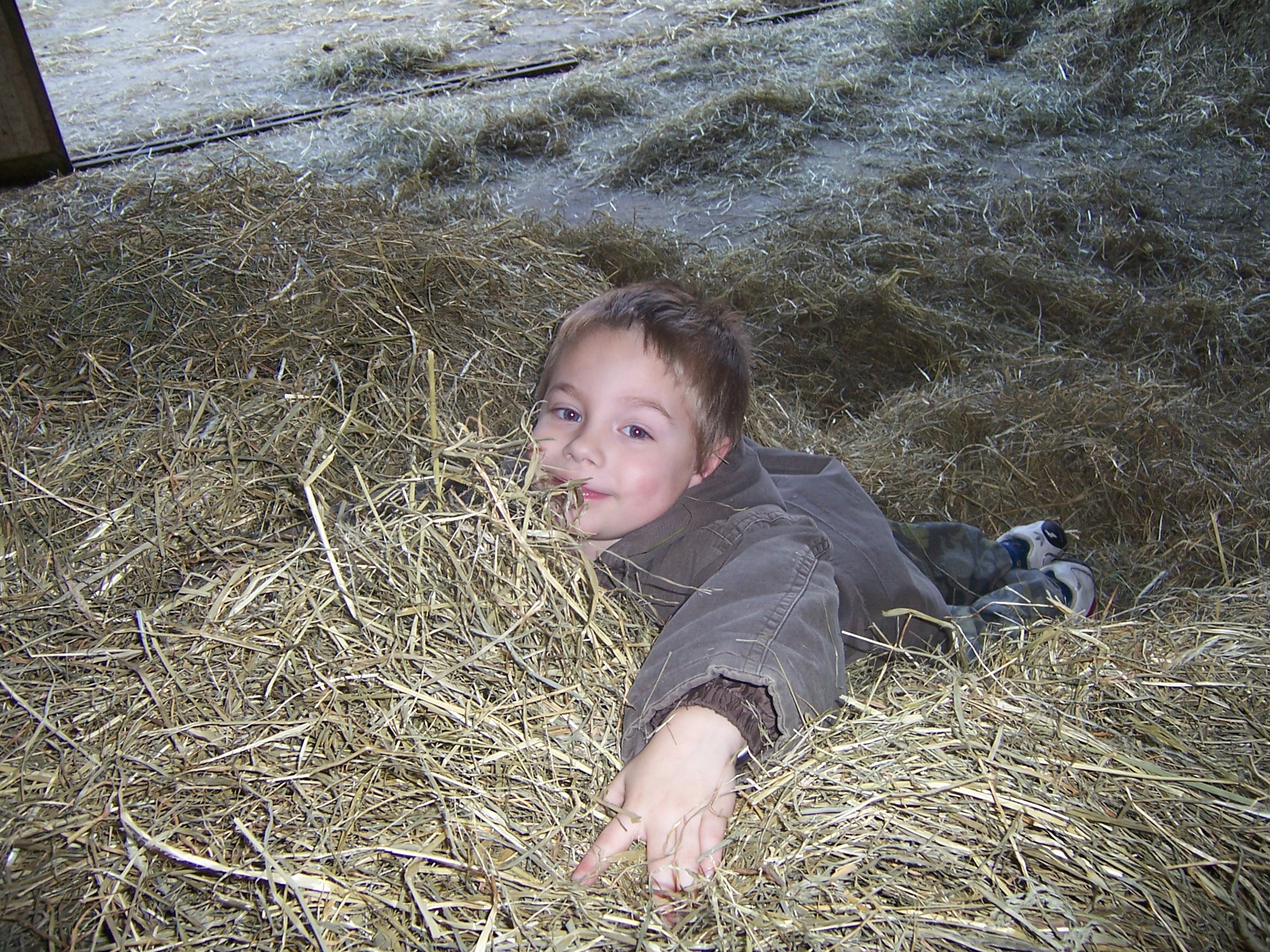Image hébergée par Casimages.com : votre hébergeur d images simple et gratuit