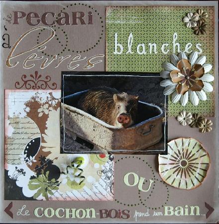 Image hébergée par Casimages.com : votre hébergeur d images simple et gratuit