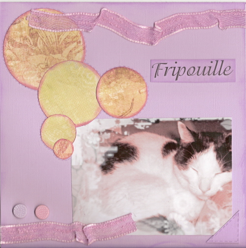 Image hébergée par Casimages.com : votre hébergeur d images simple et gratuit