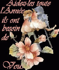 Hebergement gratuit d image et photo